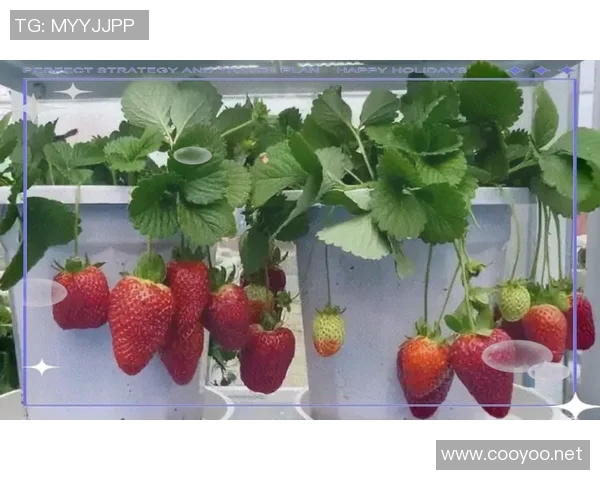 蛙泳动作分解与技巧提升全面指南助你轻松掌握流畅游泳姿势